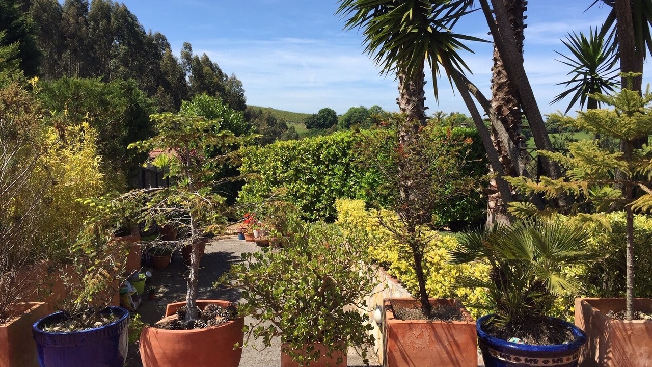 Photo of Outdoor in Limpias