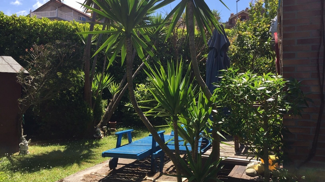 Photo of Patio Balcony in Limpias