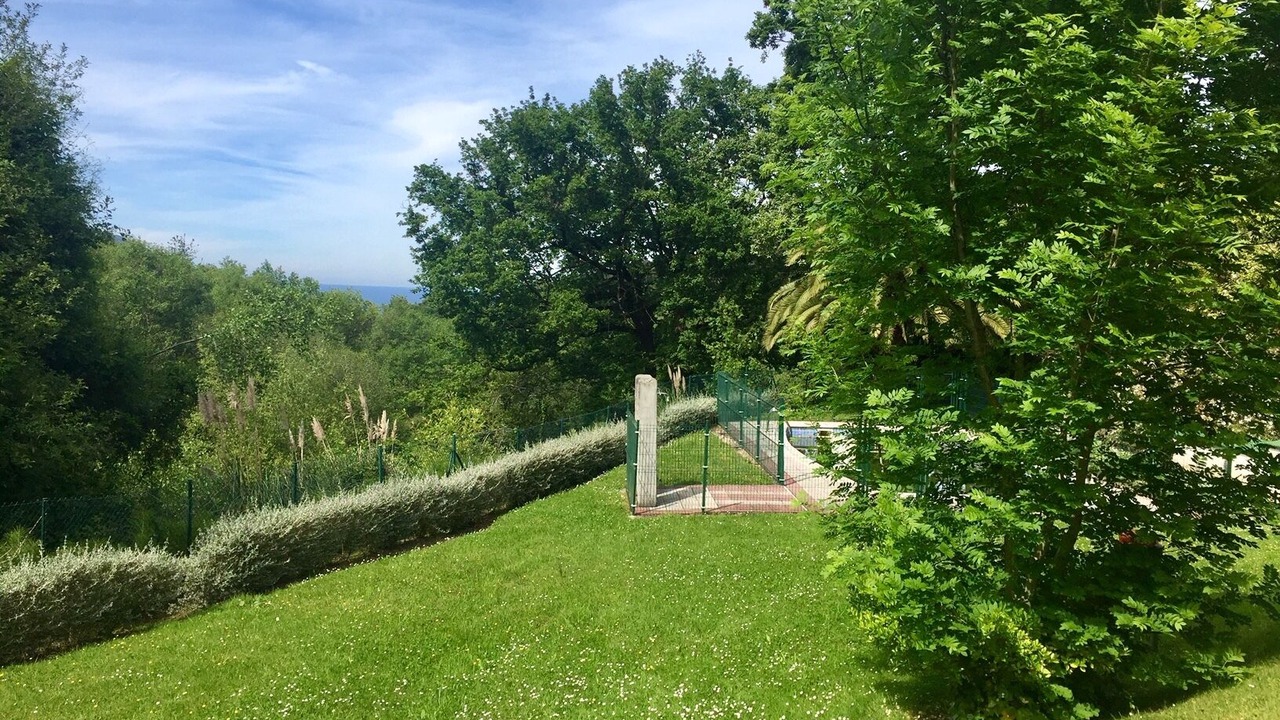 Photo of Outdoor in Limpias
