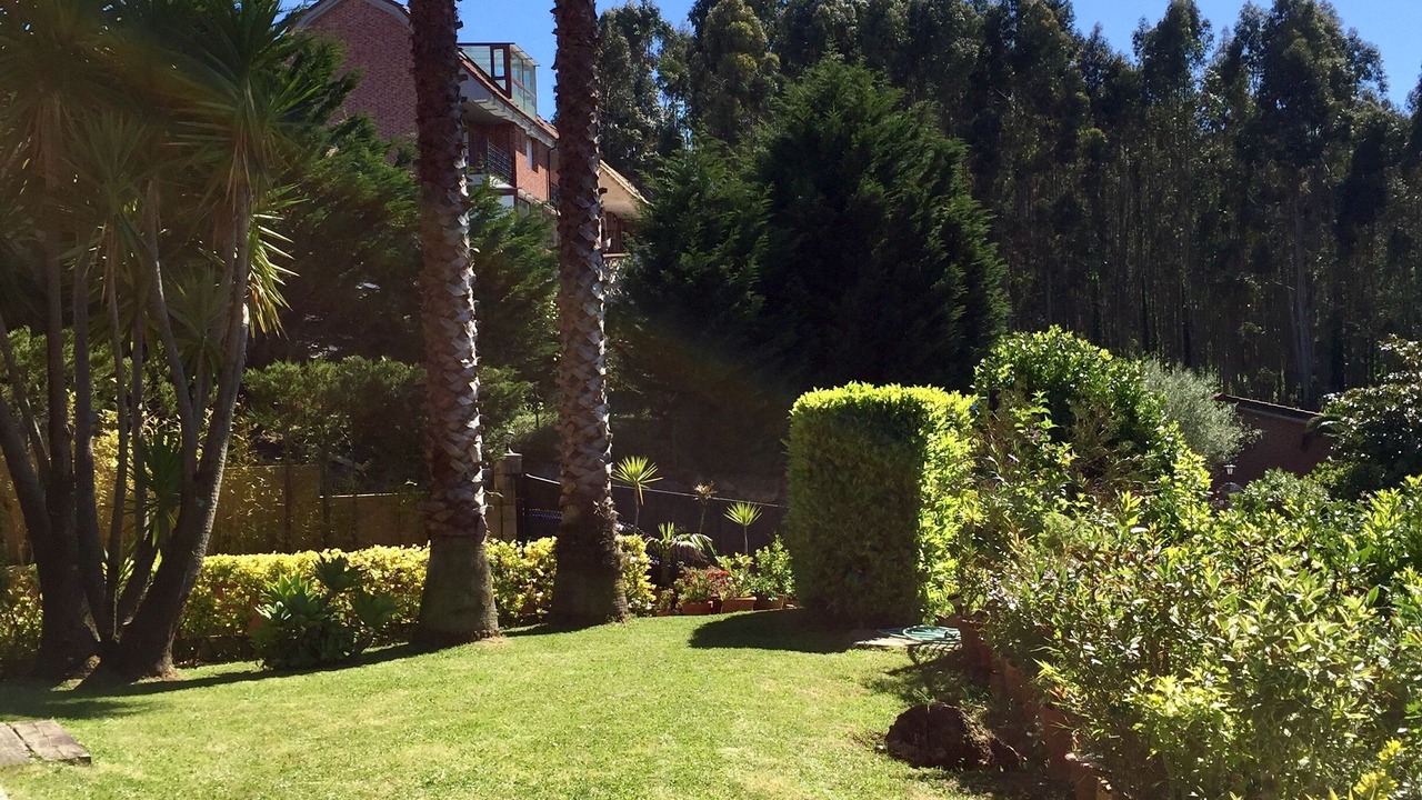 Photo of Outdoor in Limpias