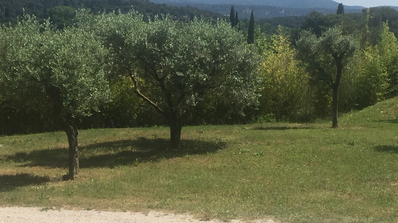 Photo of Outdoor in Bouc-Bel-Air