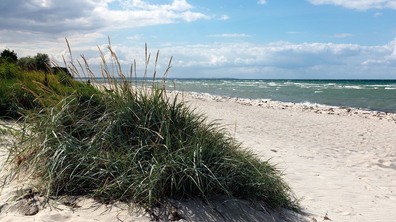 Photo of Others in Timmendorf