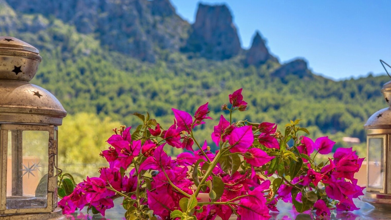 Photo of Outdoor in Escorca