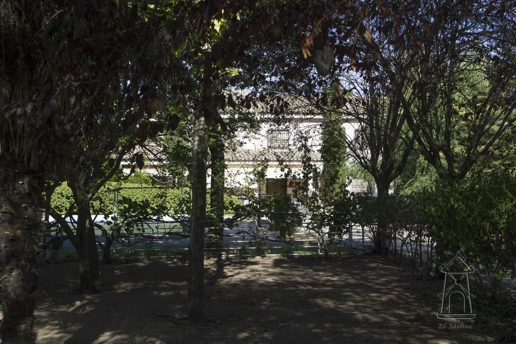 Photo of Outdoor in Ajofrin