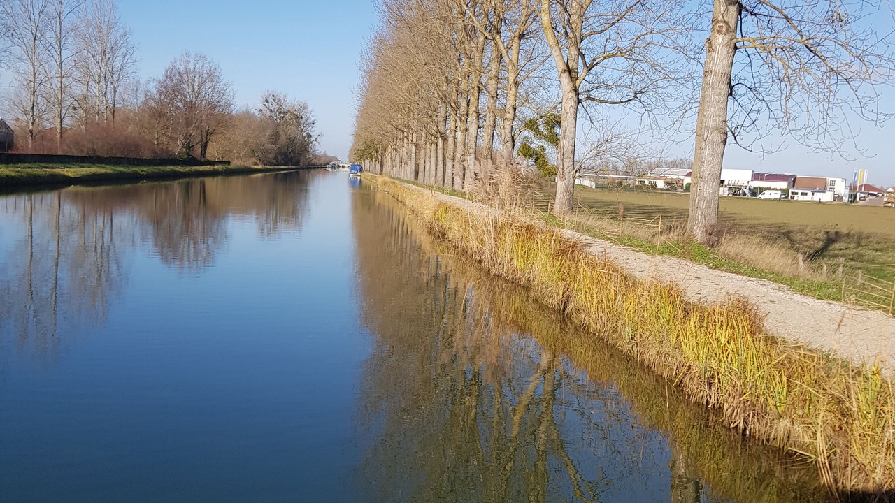 Photo of Others in Saint-Jean-de-Losne