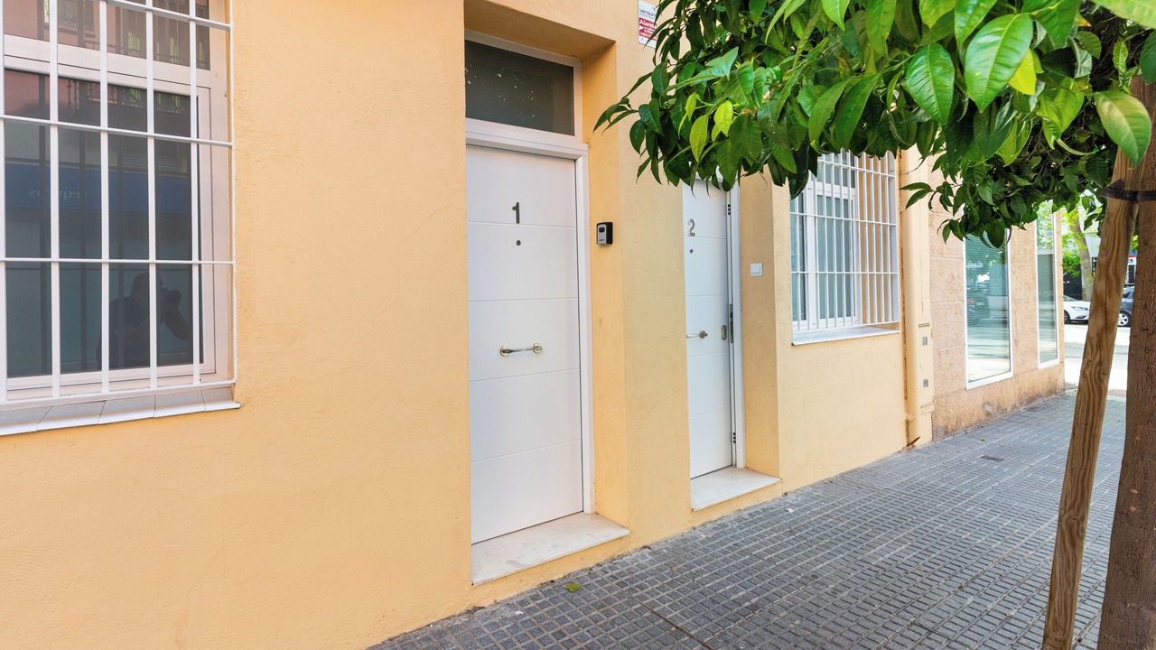 Photo of Outdoor in Los Tilos