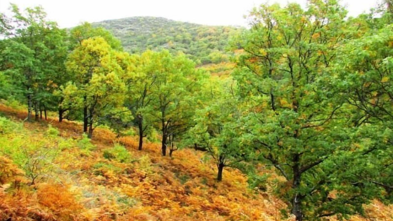 Photo of Outdoor in Casas del Monte