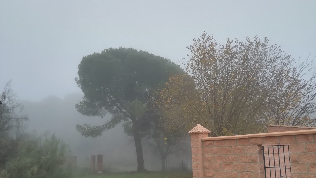 Photo of Outdoor in Cerro Muriano