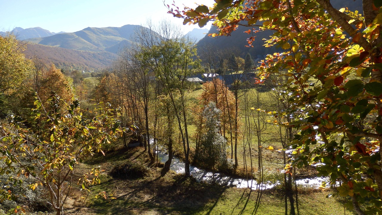 Photo of Outdoor in Campan