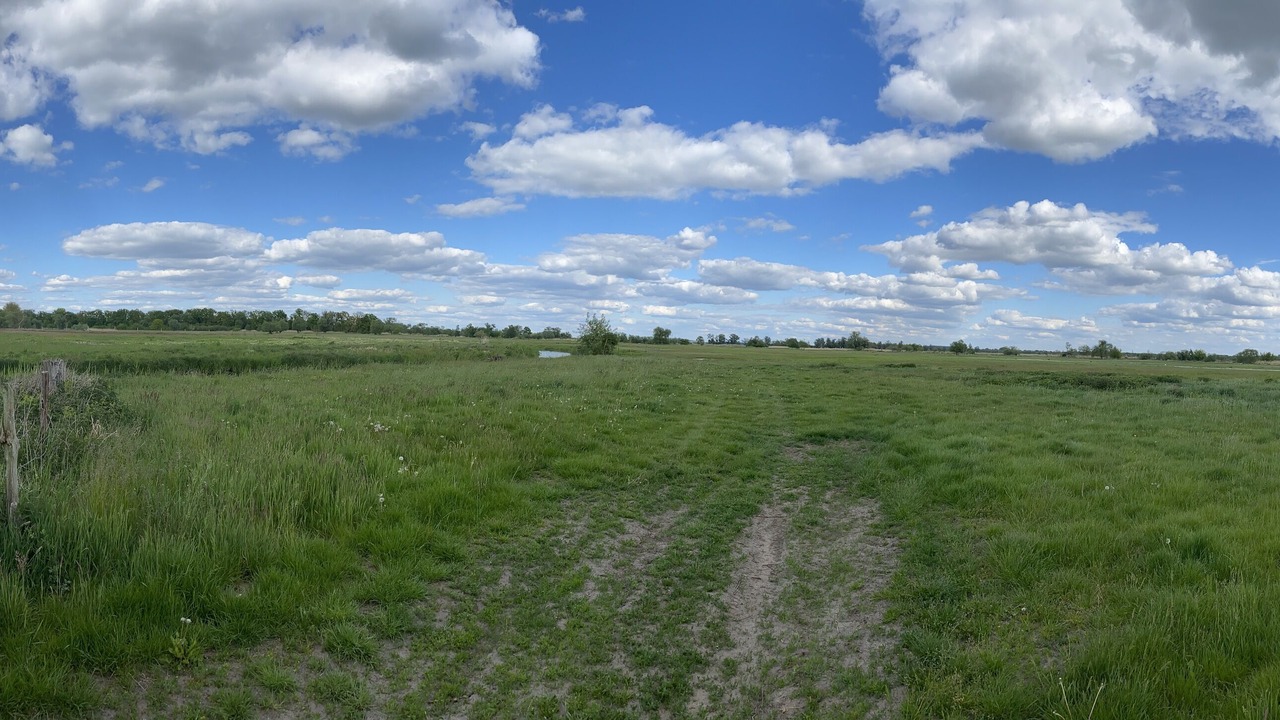 Photo of Outdoor in Havelberg