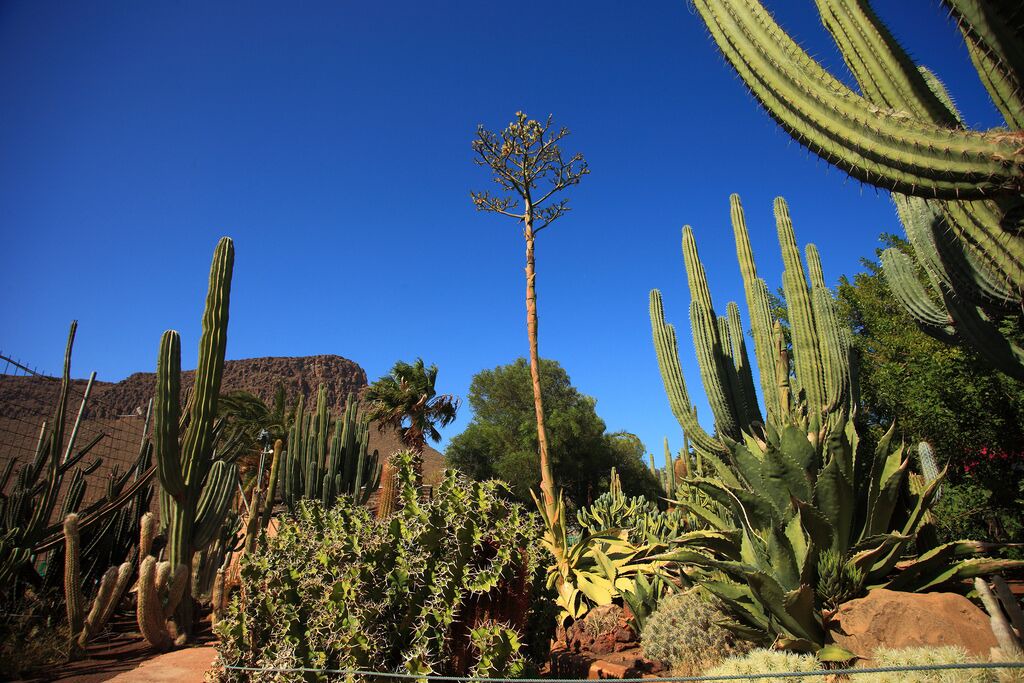 Photo of Outdoor in Playa del Aguila