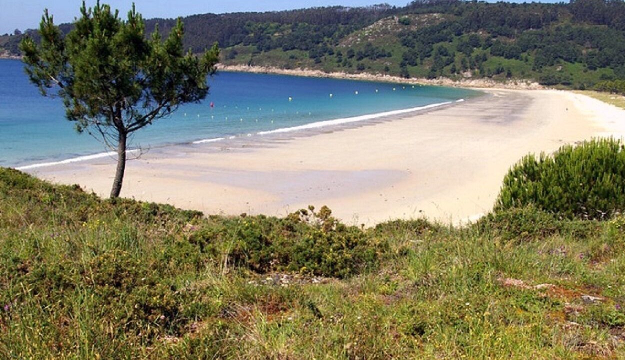 Photo of Others in Cangas