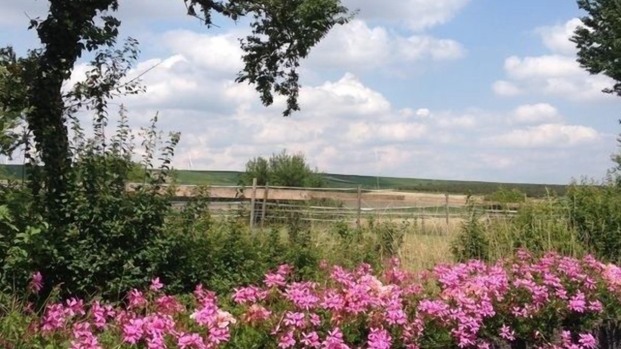 Photo of Outdoor in Flonheim