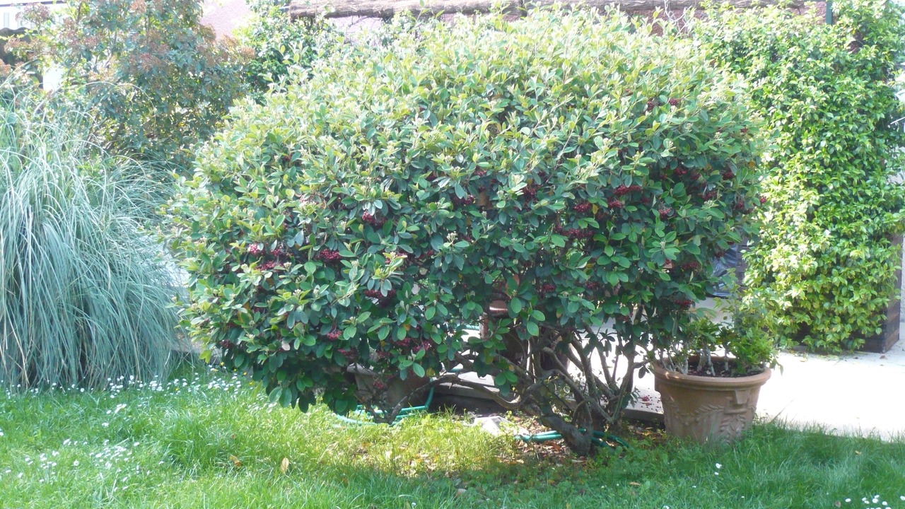 Photo of Outdoor in Est