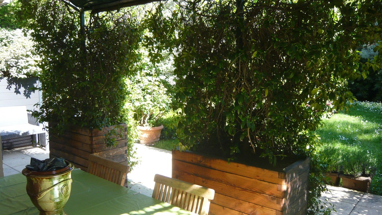 Photo of Outdoor in Est