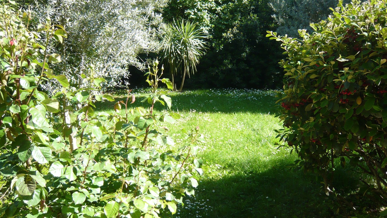 Photo of Outdoor in Est