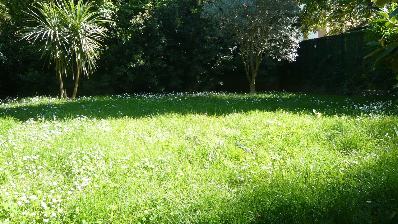 Photo of Outdoor in Est