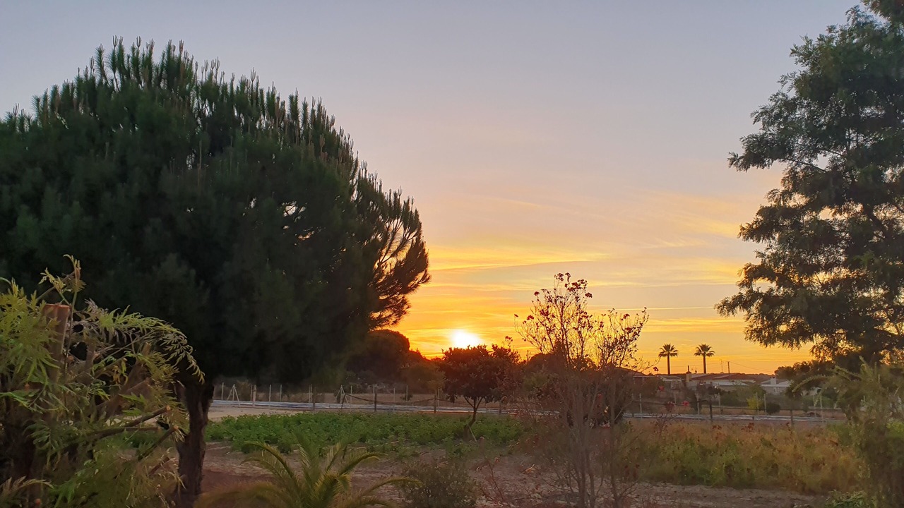 Photo of Outdoor in Aljaraque