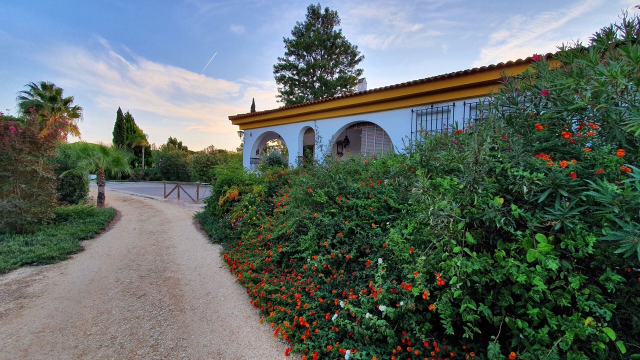 Photo of Outdoor in Aljaraque