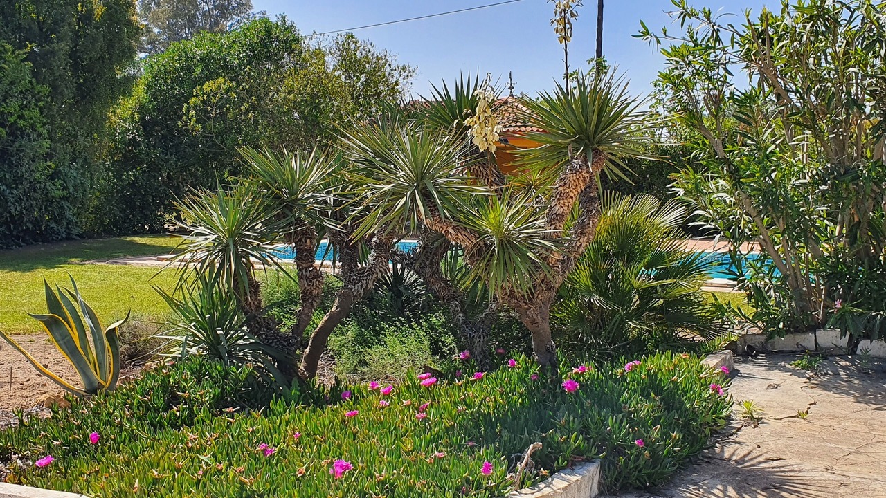 Photo of Outdoor in Aljaraque