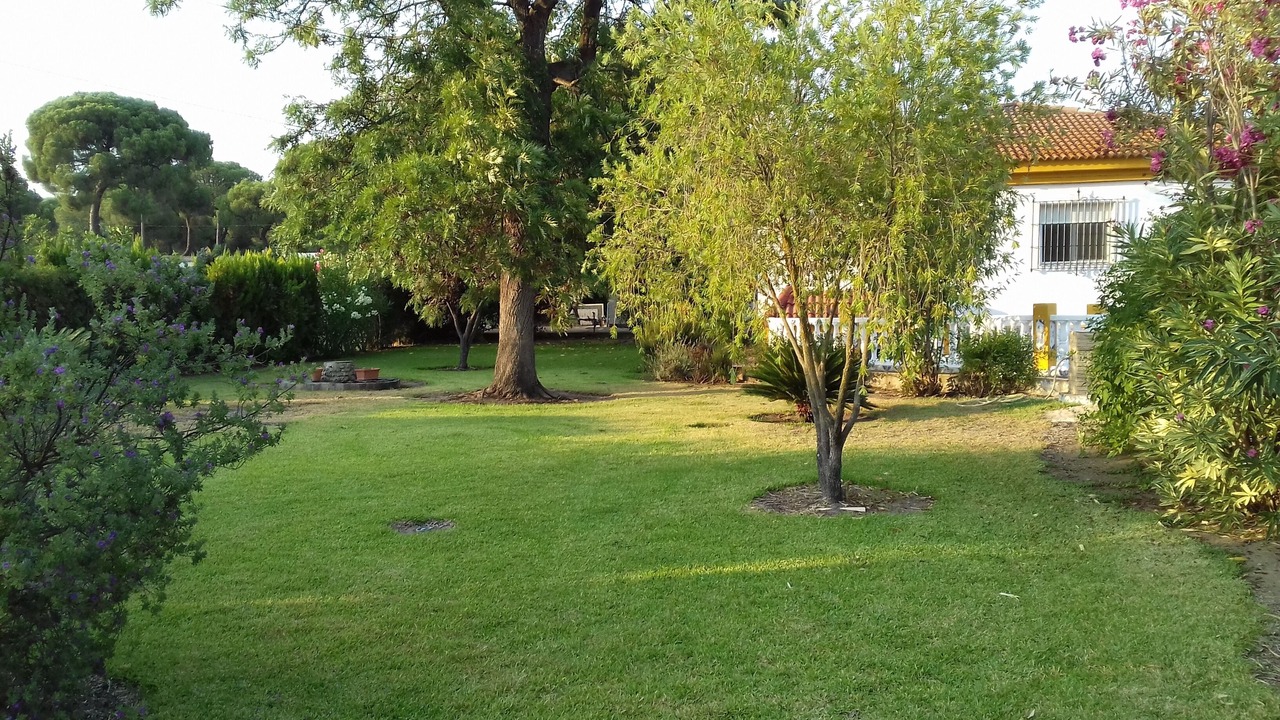 Photo of Outdoor in Aljaraque