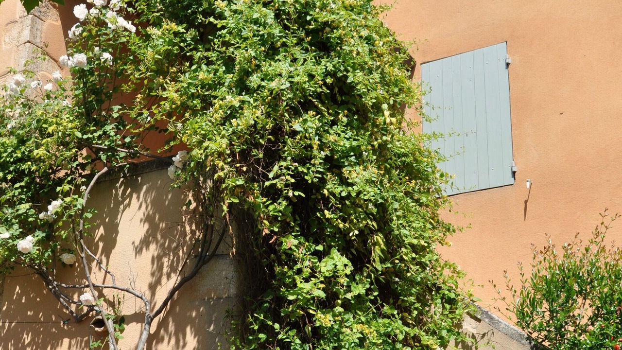 Photo of Outdoor in Rustrel