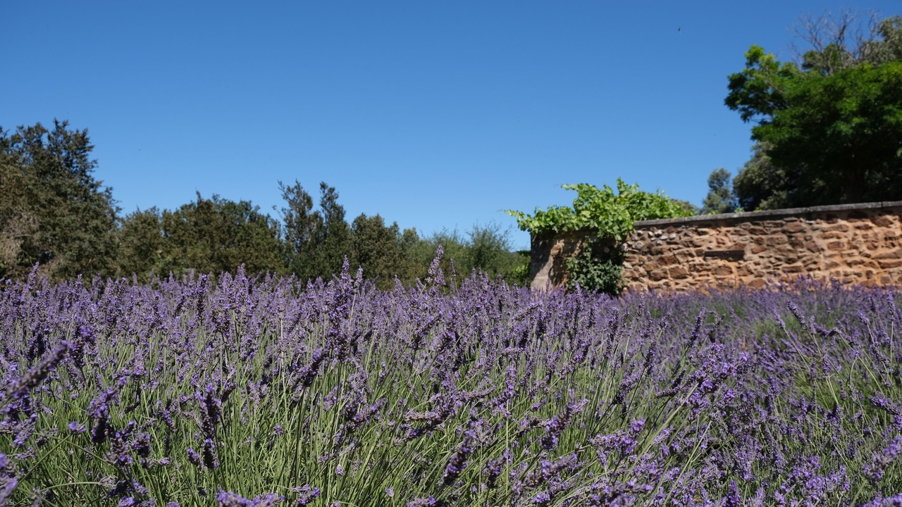 Photo of Outdoor in Rustrel