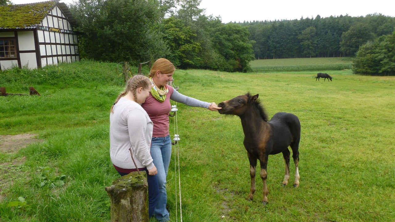 Photo of Outdoor in Merzen