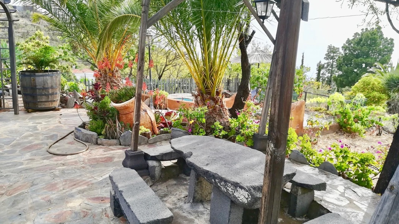 Photo of Others in Puntagorda