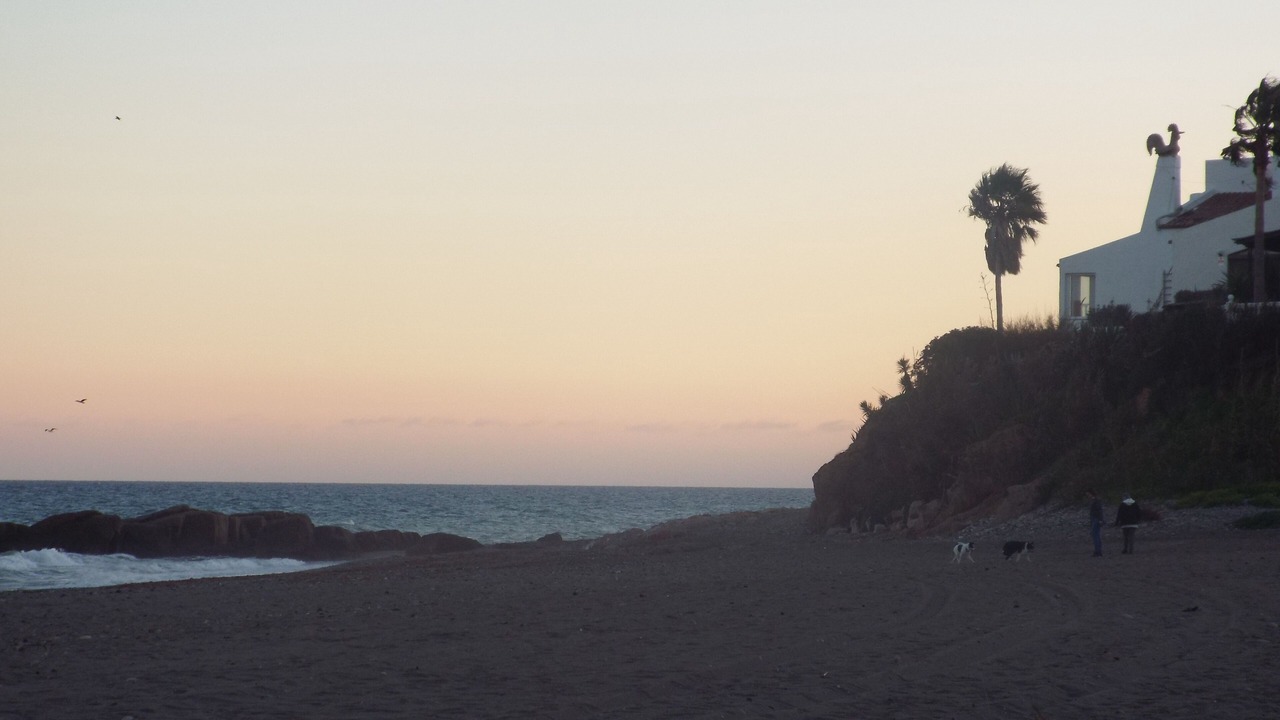 Photo of Others in Bahia Dorada