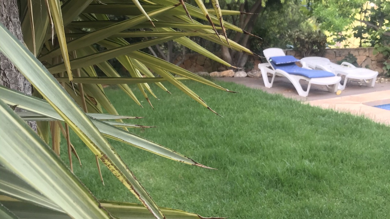 Photo of Outdoor in Altea la Vella