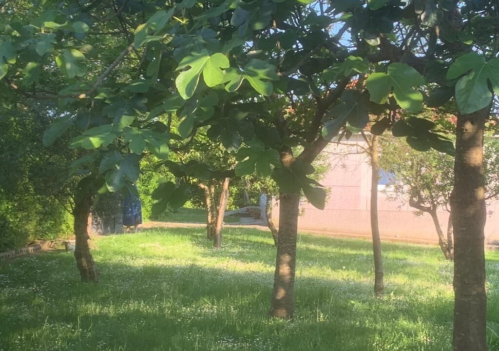 Photo of Outdoor in Arzua