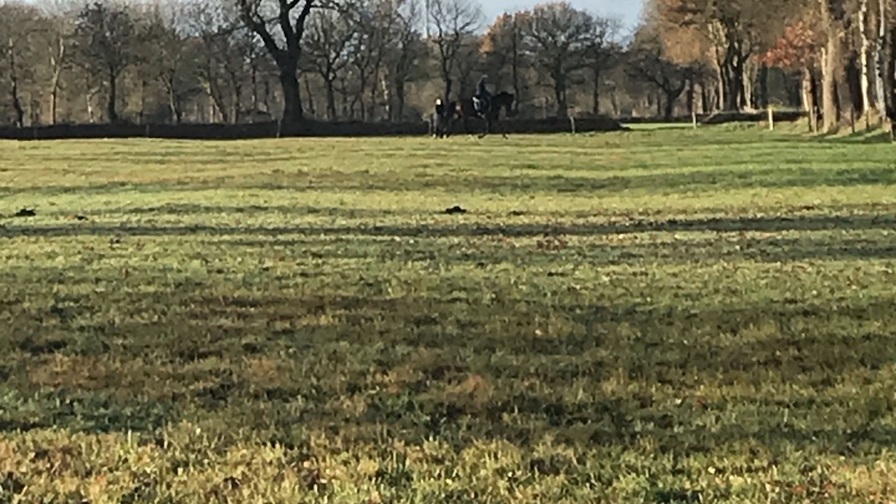 Photo of Outdoor in Strackholt