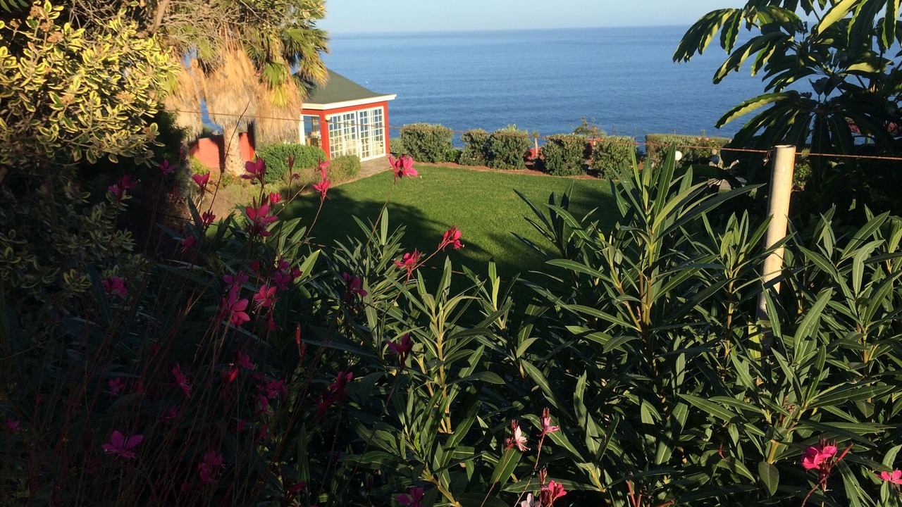 Photo of Outdoor in Buen Paso