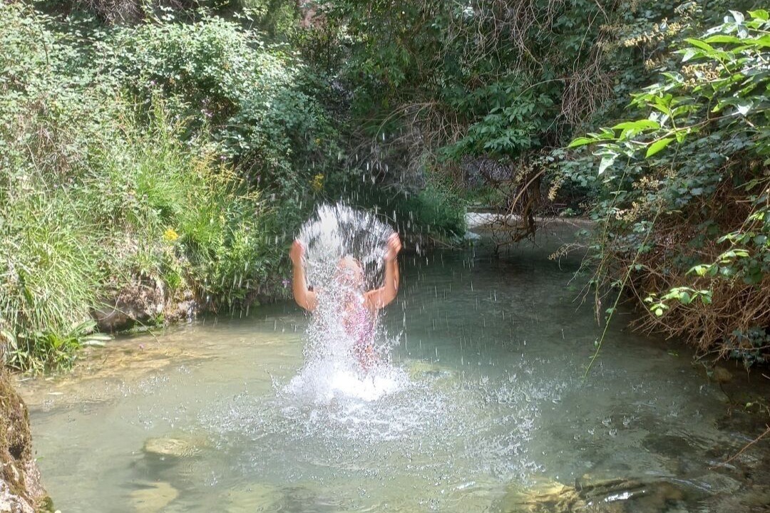 Photo of Others in Cella
