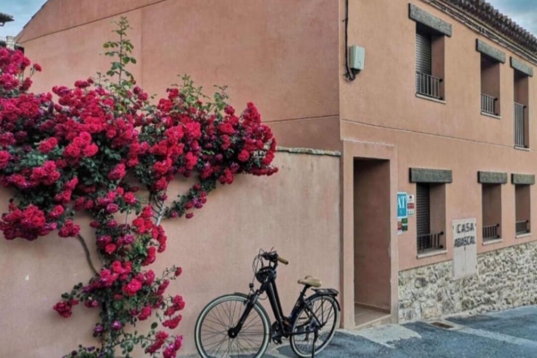 Photo of Outdoor in Cella