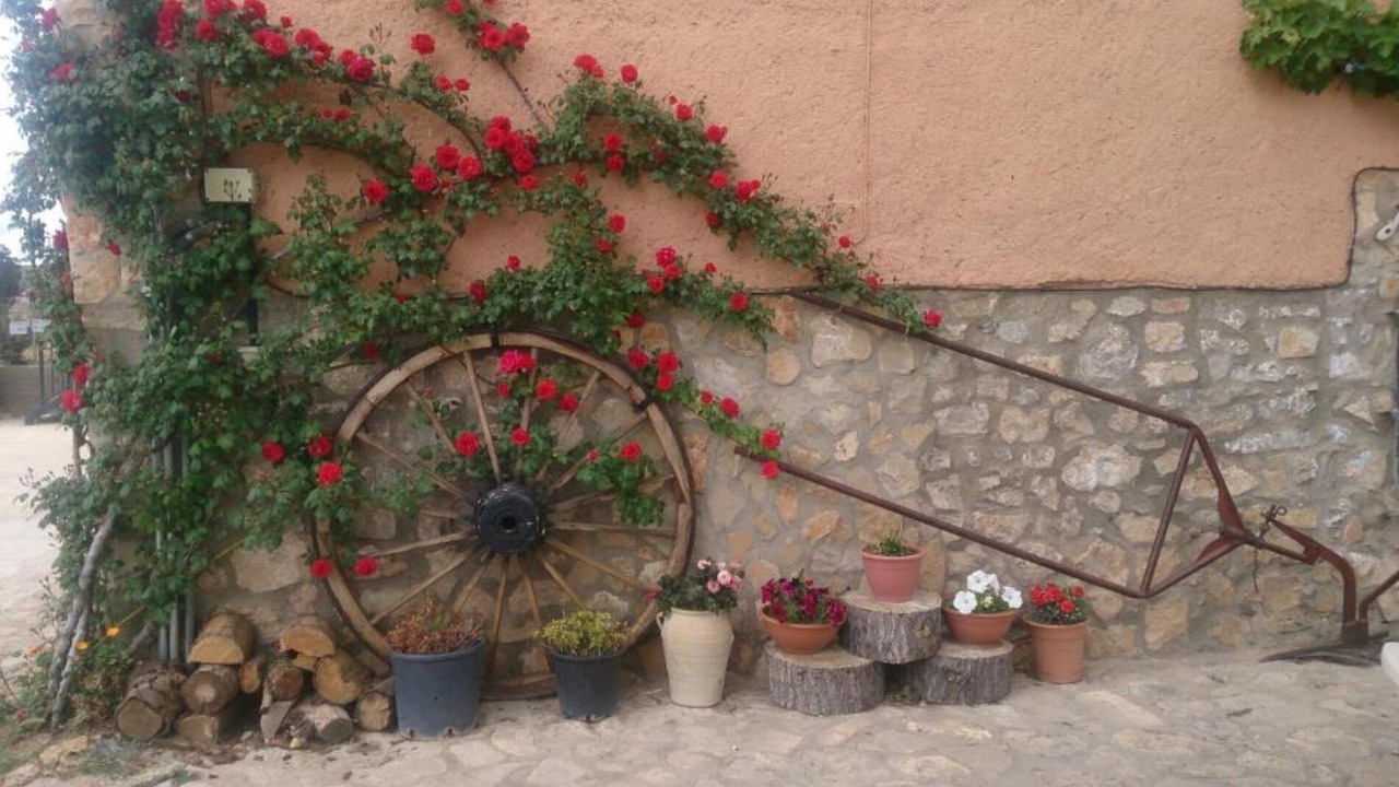 Photo of Outdoor in Cella