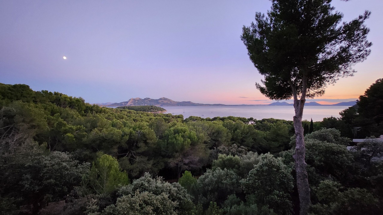 Photo of Others in Playa de Formentor