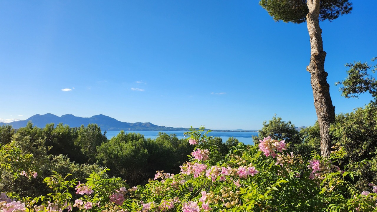 Photo of Others in Playa de Formentor