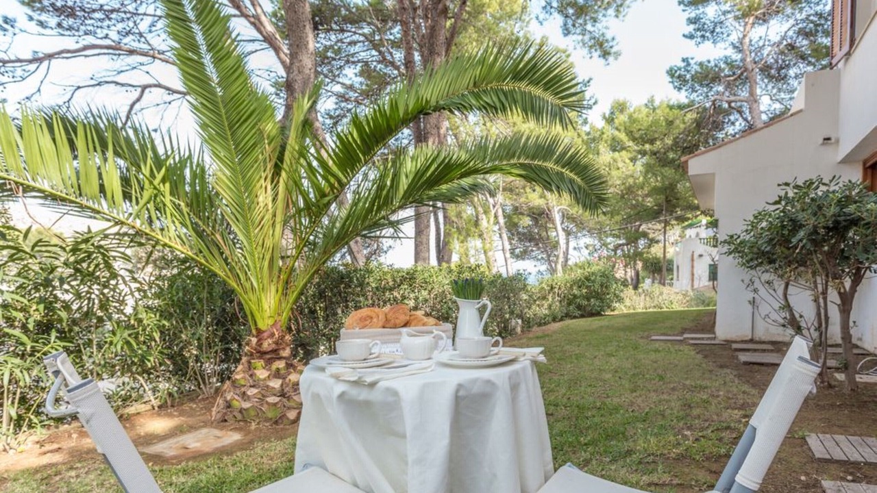 Photo of Outdoor in Cala San Vicente