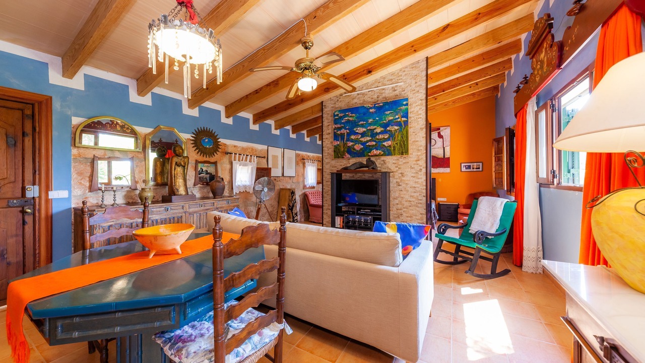 Photo of Livingroom in Son Antem