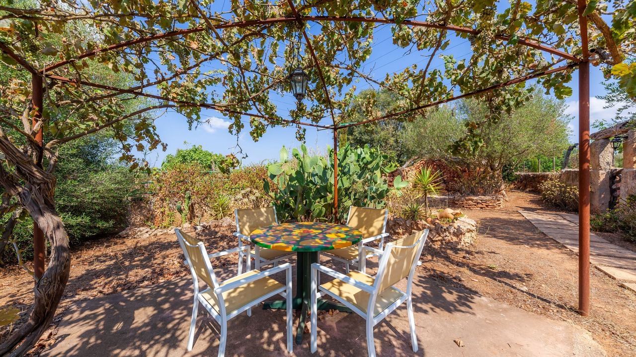 Photo of Outdoor in Son Antem