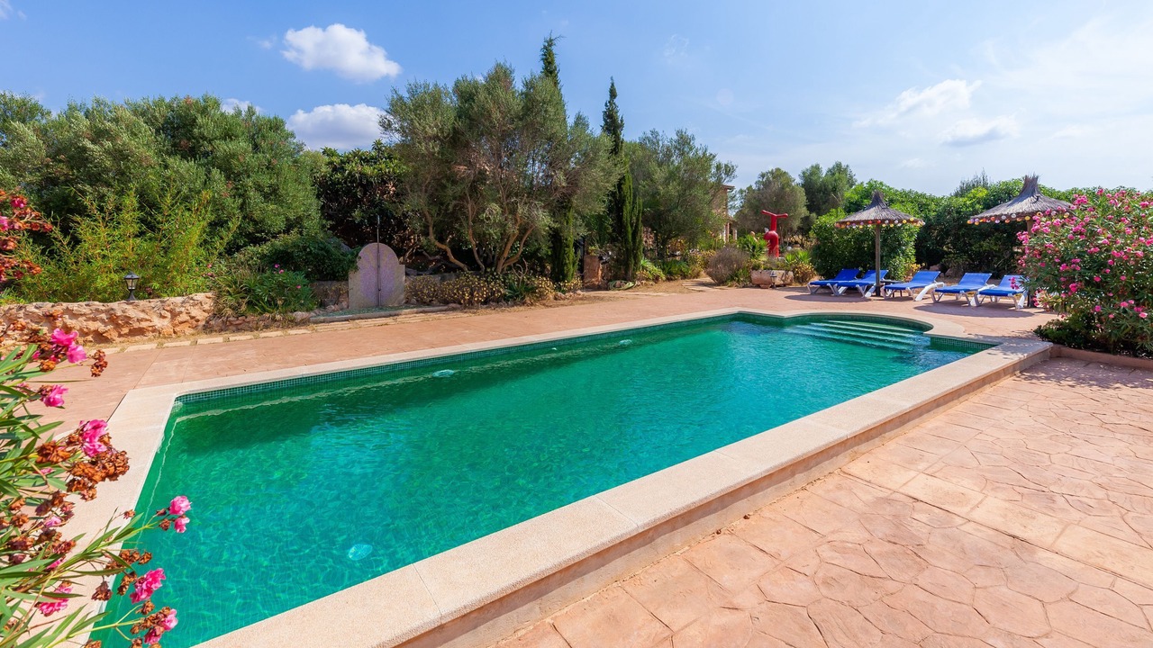 Photo of Outdoor in Son Antem