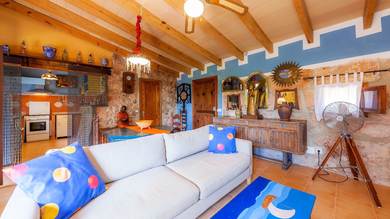 Photo of Livingroom in Son Antem