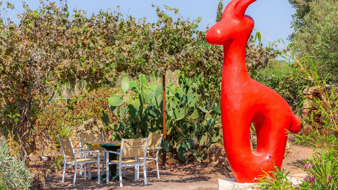 Photo of Outdoor in Son Antem
