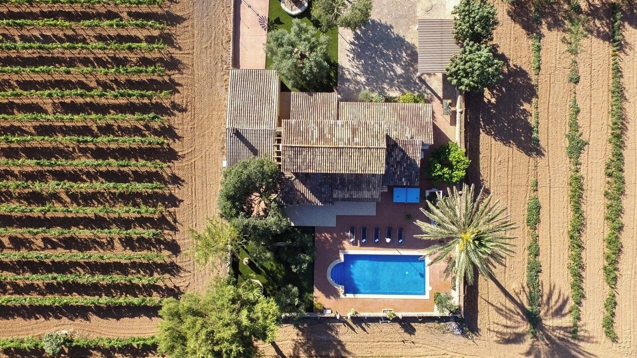 Photo of Outdoor in Sencelles