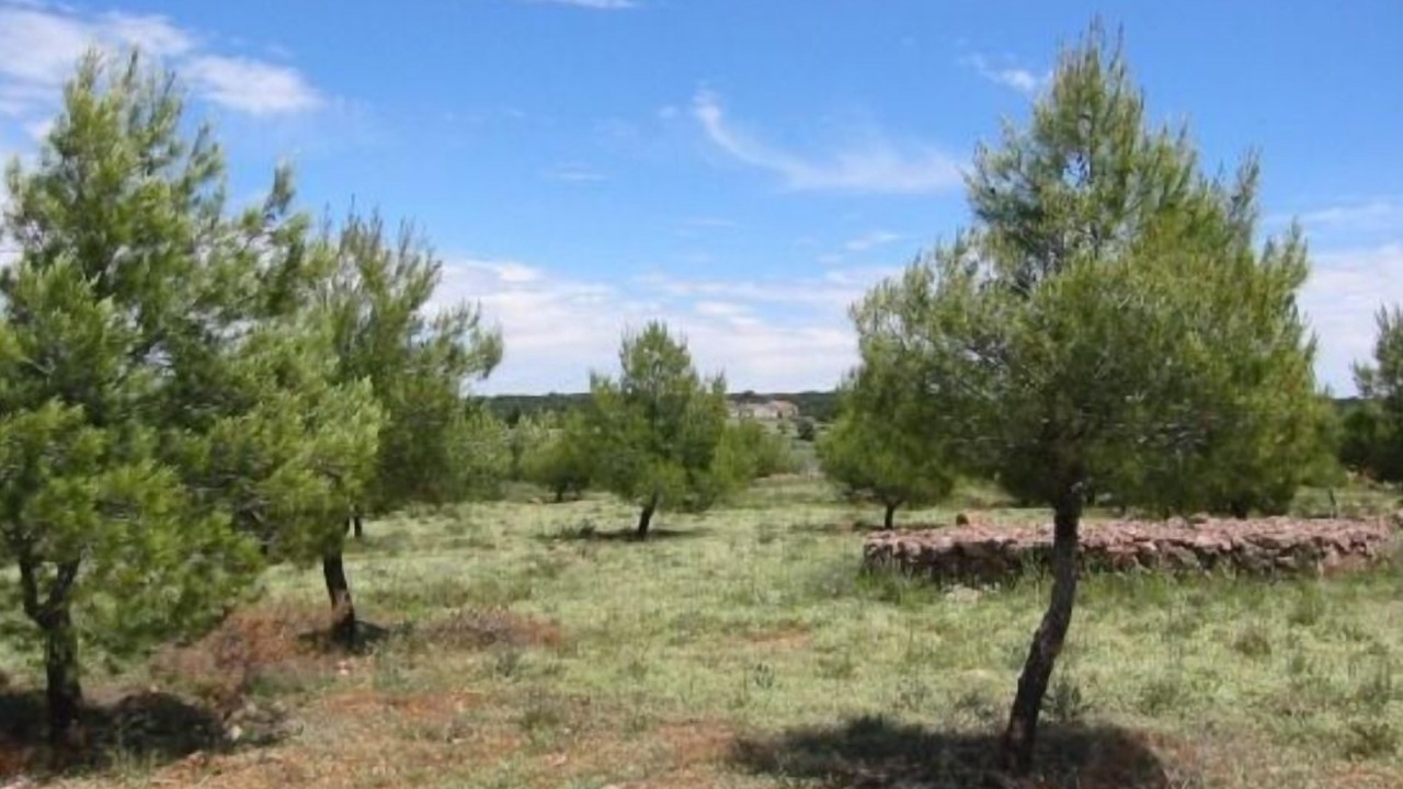 Photo of Outdoor in Ruidera