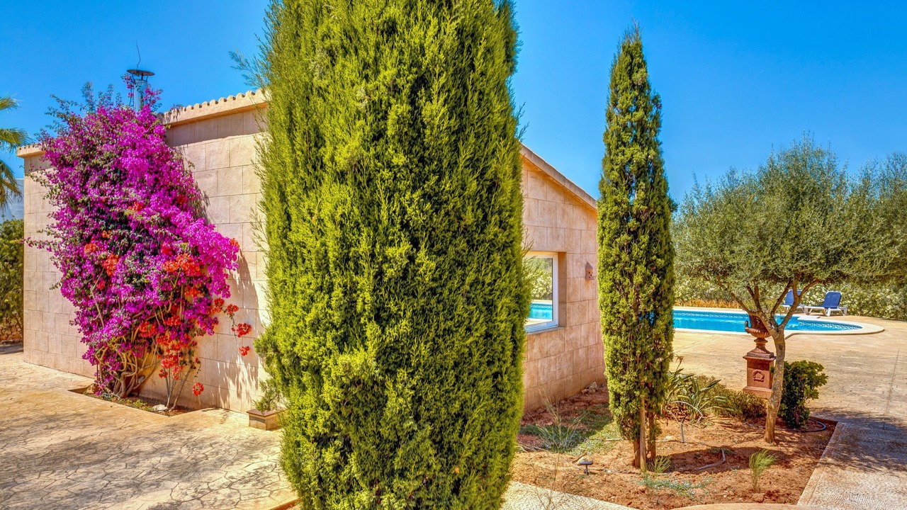 Photo of Outdoor in Llucmajor