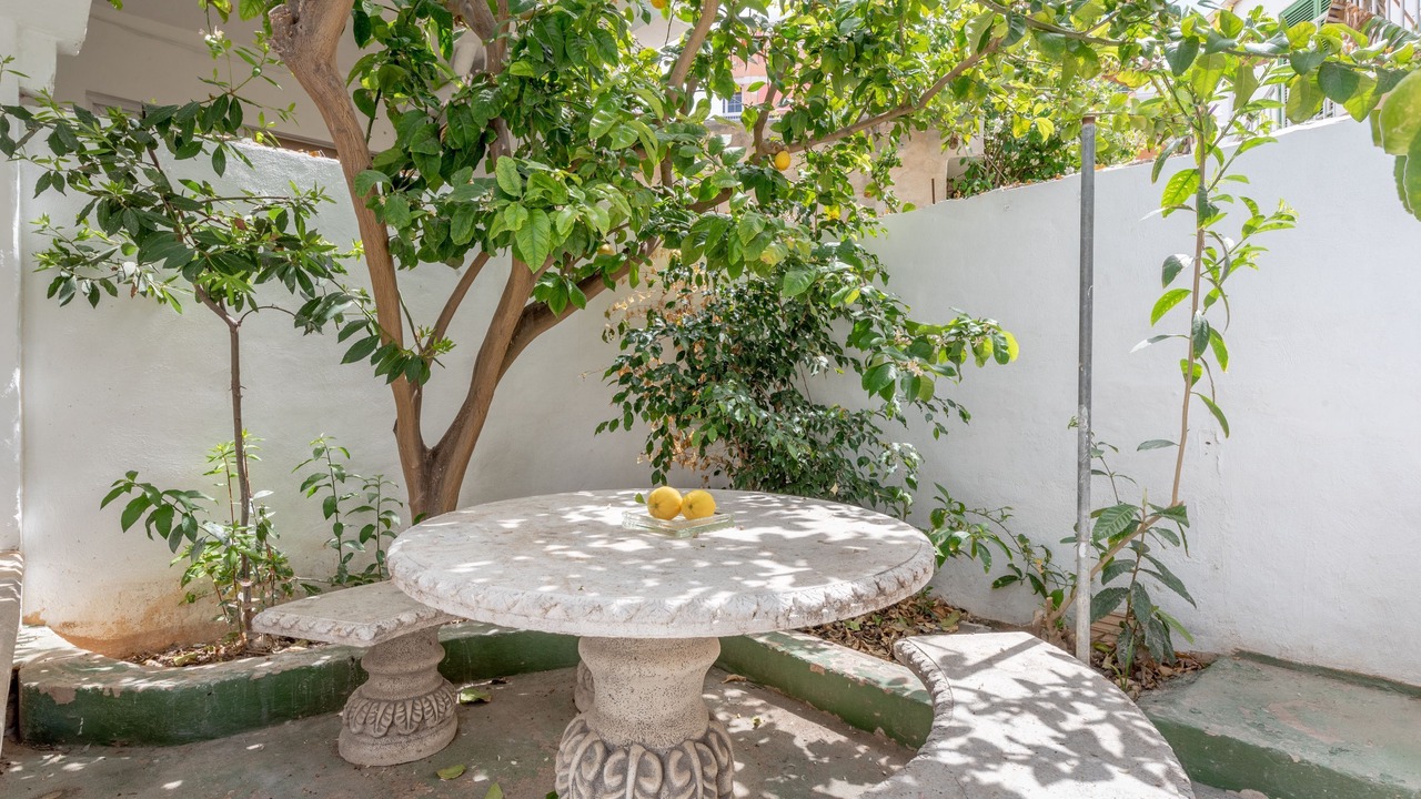 Photo of Outdoor in El Arenal