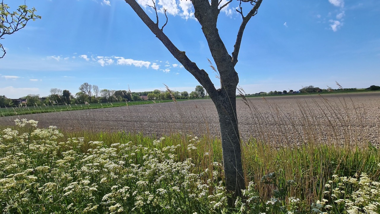 Photo of Outdoor in Horum